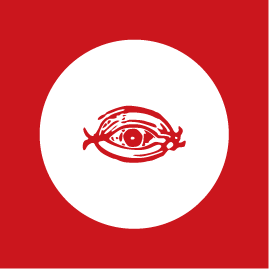 File:DIS flag.png