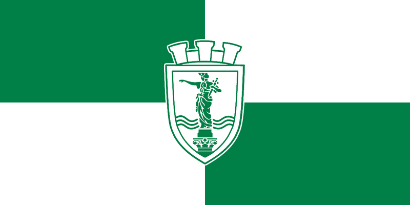 File:Flag-Qiidrjitmi.png