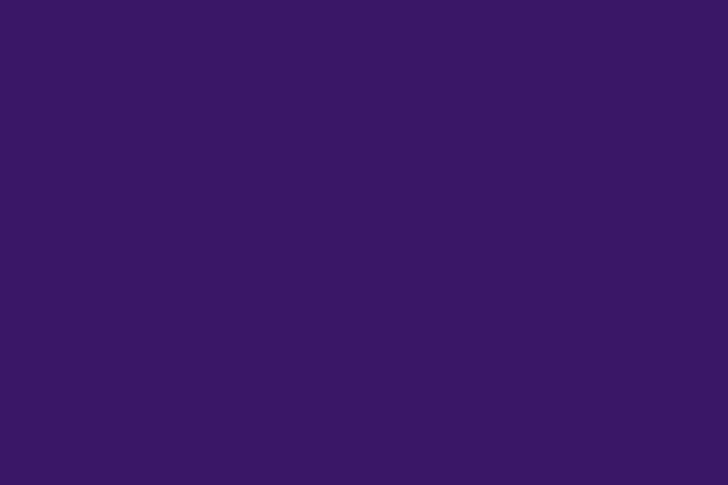 File:Purple flag.png