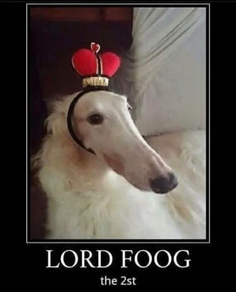 File:Lord foog.webp