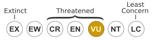 File:Status iucn3.1 VU WCAG.svg