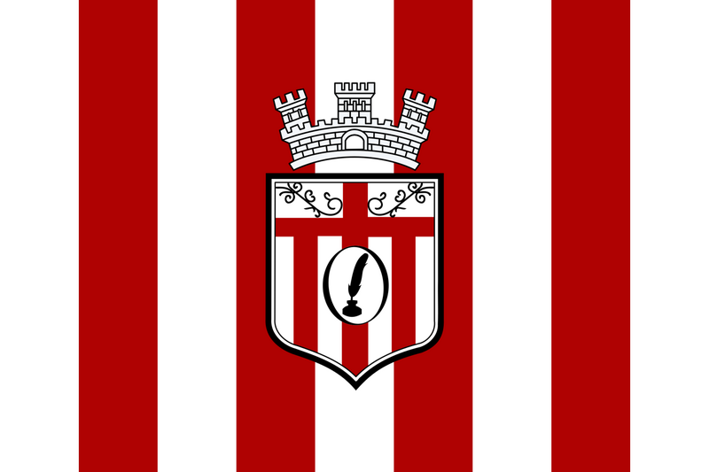 File:Flag-Dvikmi.png