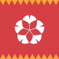 Major banner of Chyšyla