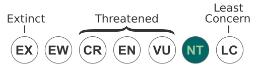 File:Status iucn3.1 NT WCAG.svg