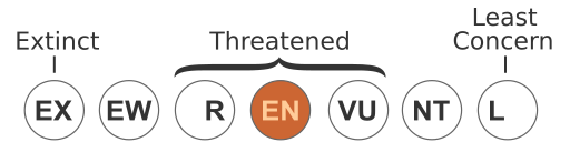 File:Status iucn3.1 EN.svg