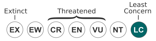 File:Status iucn3.1 LC WCAG.svg