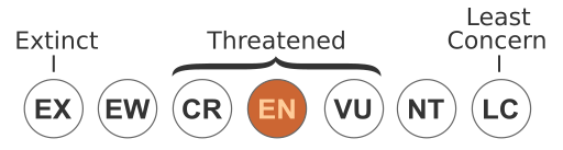 File:Status iucn3.1 EN WCAG.svg