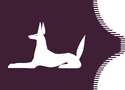 Flag of Mashhasadid Empire